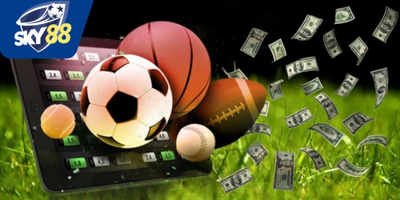 Cách chơi cá độ online hiệu quả